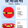 S__30965827 狗狗魔幻變形球|彈跳飛碟二合一